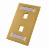 305-310ID/2P/IV Vertical Cable Wall Plate with ID Window, 2-Port - Ivory