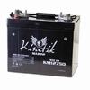 Show product details for 40601 UPG UB12750 Sealed Lead Acid Battery 12 Volts/75Ah - MC Terminal
