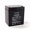 BW1250/F1 BWG Rechargeable SLA Battery 12Volts/5Ah - F1 Terminals