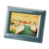EN200 EverFocus 5.6" LCD Monitor