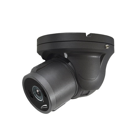 HTINT601TA Speco Technologies 3.6mm 30FPS @ 2MP Outdoor Day/Night WDR Turret HD-TVI/Analog Security Camera 12VDC/24VAC