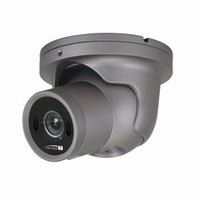 HTINT60T Speco Technologies 2.8-12mm Varifocal 30FPS @ 1920 x 1080 Outdoor IR Day/Night WDR Dome/Turret Security Camera 12VDC/24VAC