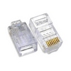 W-P107 Basix RJ45 used for network and telephone - 100 Pack